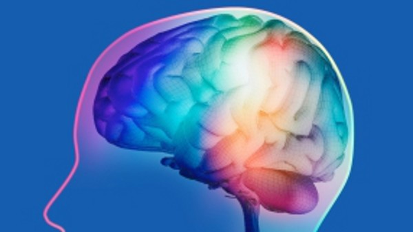 Размерът на човешкия мозък се мени през денонощието – привечер
