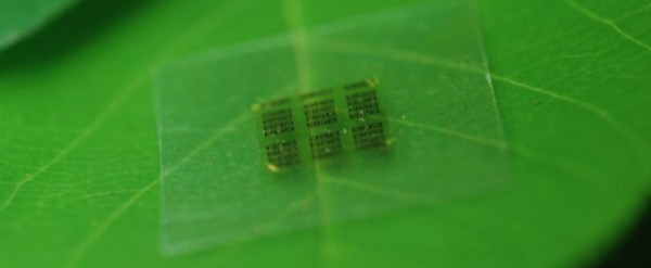 Снимка: Разработват биоразградими компютърни чипове от дърво