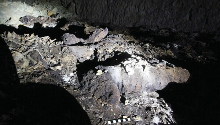 Снимка: Откриха 8 млн. мумии на кучета при бога на смъртта Анубис в Египет