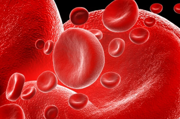 Какво е изкуствената кръв Главната цел на заместителите на кръвта е