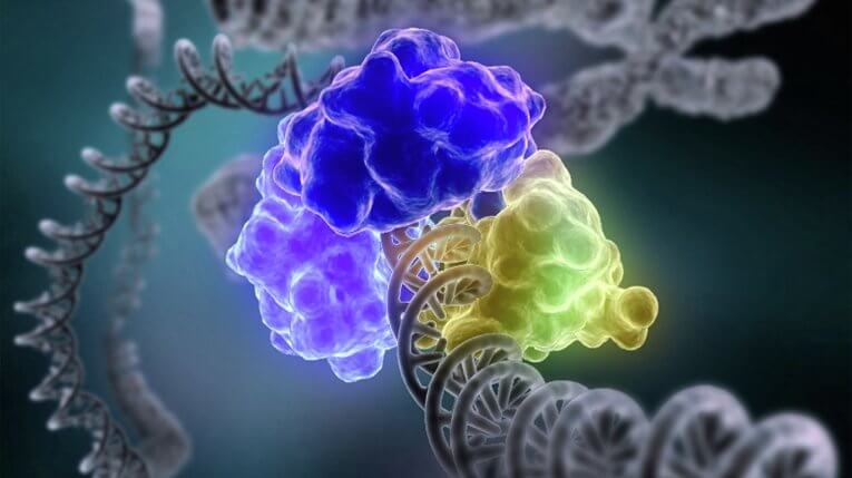 Формата на ДНК веригата далеч не се свежда до стереотипната