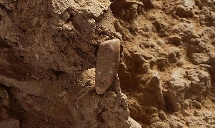 Френски археолози откриха човешки зъб, чиято възраст е 560 000 години,