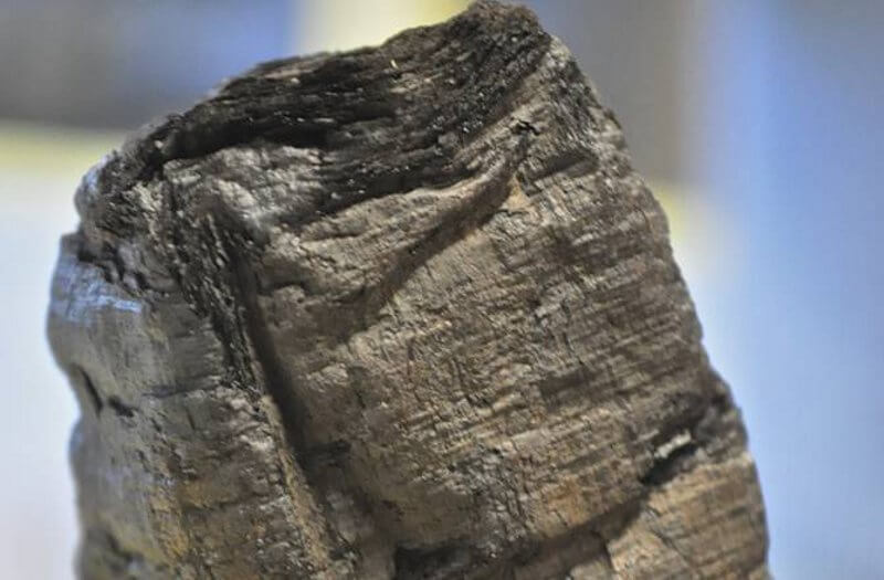 Белгийски археолог случайно открил най дългия и древен ръкопис съобщава Discovery Невероятното