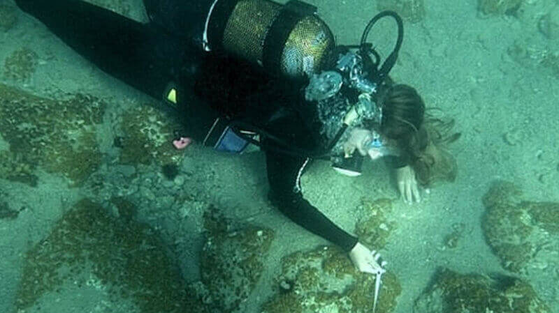 През 2014 г. подводни археолози от Женевския университет, по време
