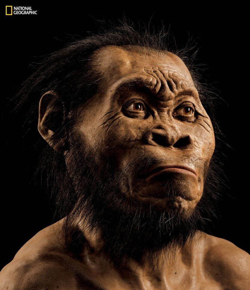 В Южна Африка е открит нов вид човешки прародител. Макар