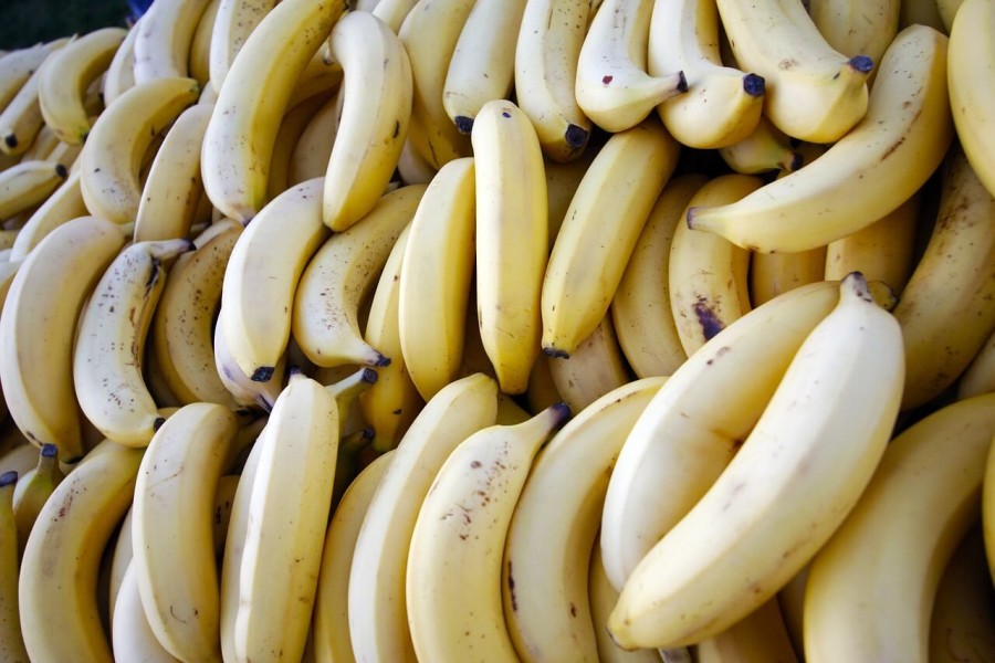 Снимка: Потвърдено е, че бананите изчезват