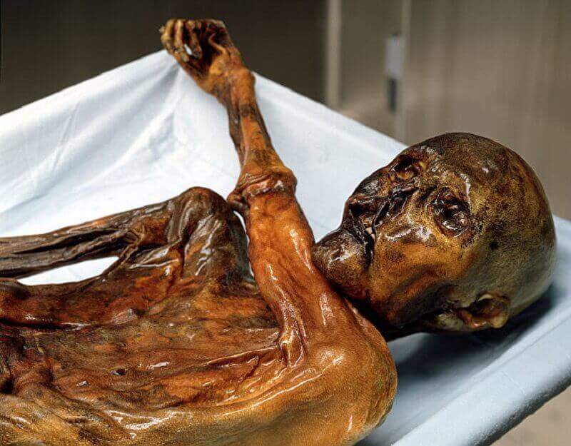 Учени са създали триизмерен модел на Проклетата мумия за която