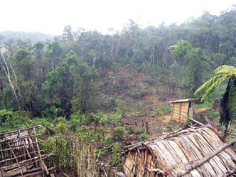 Снимка: Древни пиромани унищожили горите на Мадагаскар