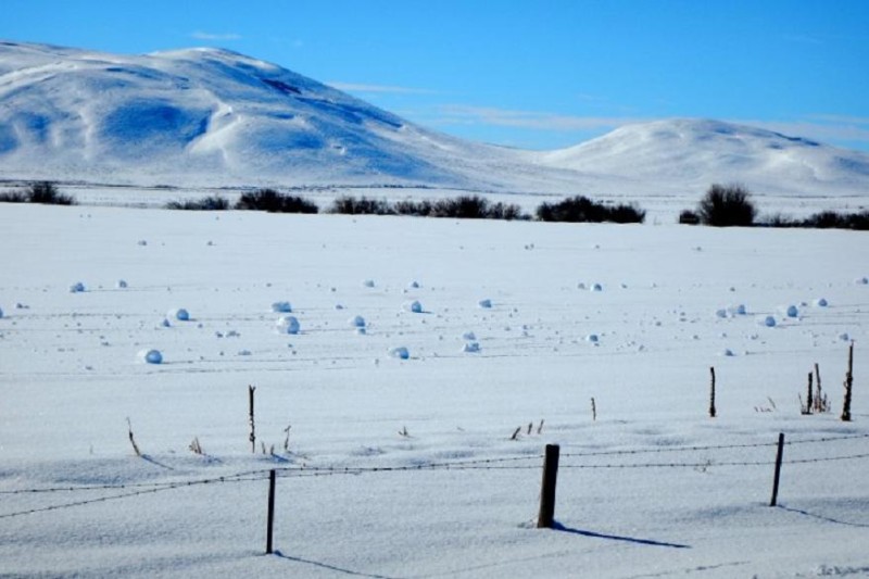 Хиляди снежни топки се появиха по полетата на Айдахо САЩ