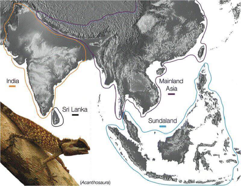 Международна група учени потвърдиха хипотезата че субконтинентът Индия е бил