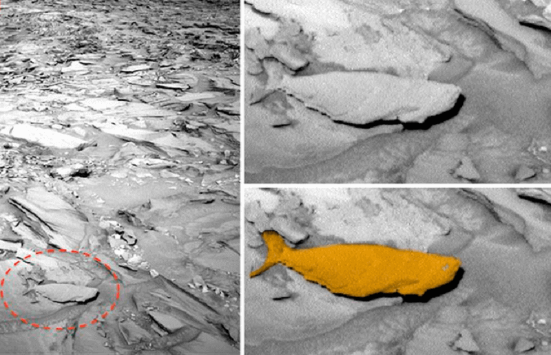 НАСА е публикувала поредната снимка от повърхността на Марс направена