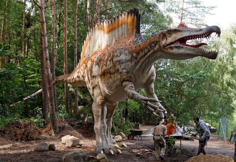 Спинозавърът се числи към най огромните месоядни видове динозаври В германски