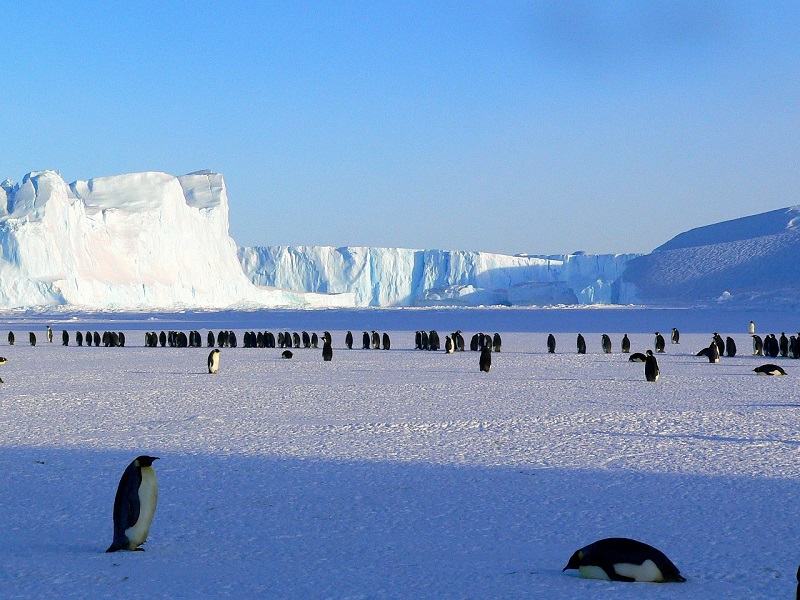 Учените отдавна алармират за топенето на антарктическите ледници но все