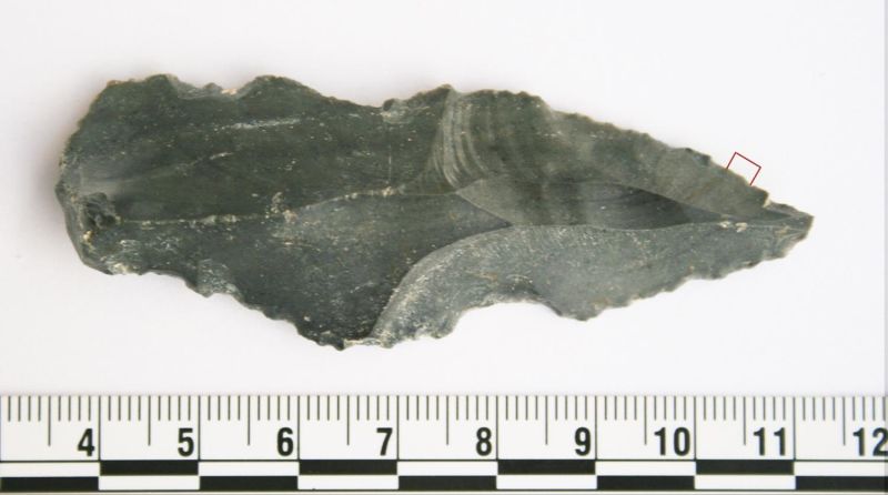 При разкопки в Йордания археолози откриха истинско съкровище от инструменти