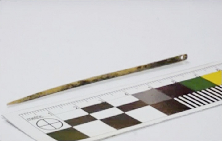 Археолози откриха най старата известна игла която е на 50 000