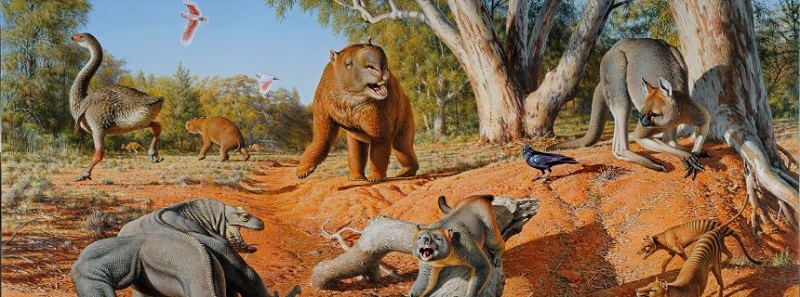 Гигантските животни измират в световен мащаб преди хиляди години. Кое