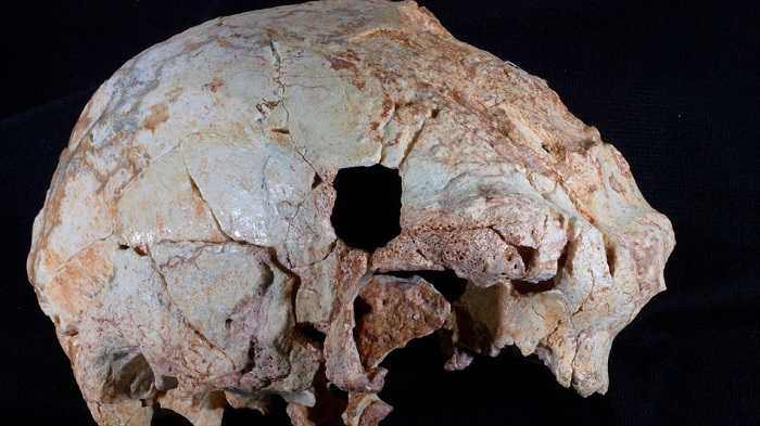 Археолози откриха череп от античен човек живял преди 400 000