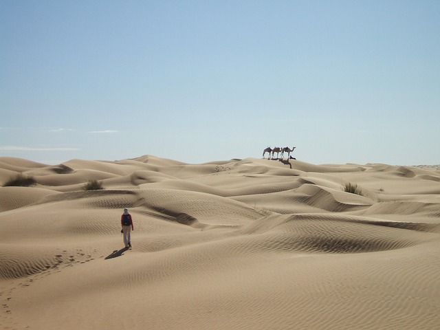 Величествена в своята пясъчна красота пустинята Сахара винаги е била