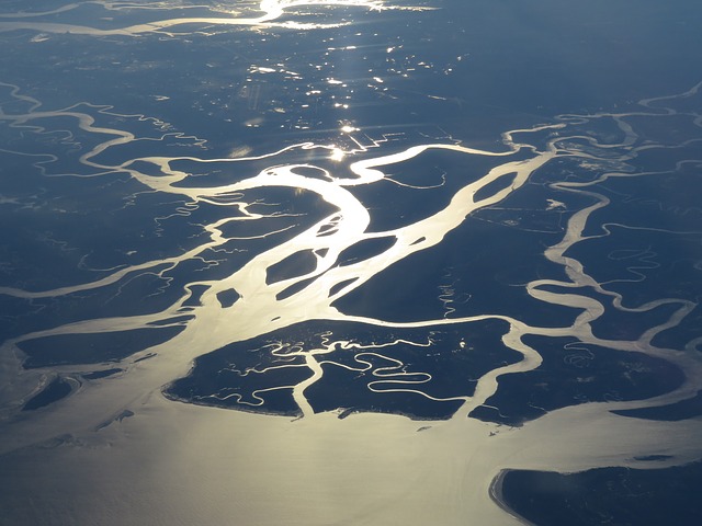 Устията на реките винаги са предизвиквали интерес като екологични системи
