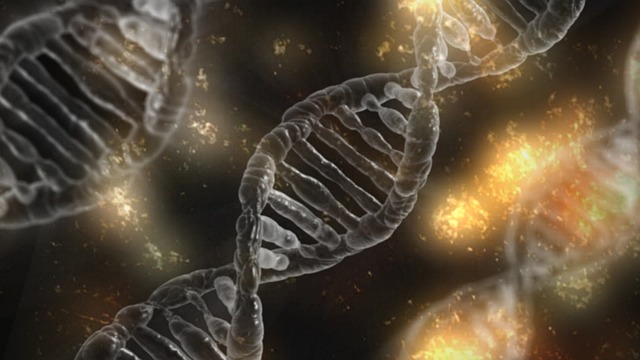 Най малко три четвърти от човешкия геном се състоят от нефункционална