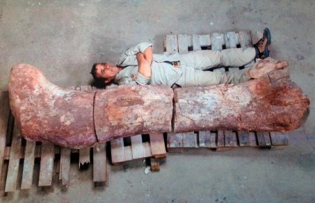 Този аржентински тревопасен динозавър е тежал между 65 и 77