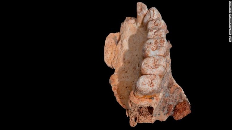 Учени са открили най старите известни фосили от съвременен човек извън