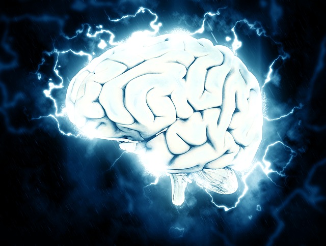 Невроимплантите, които претендират, че могат да увеличат паметта, не са