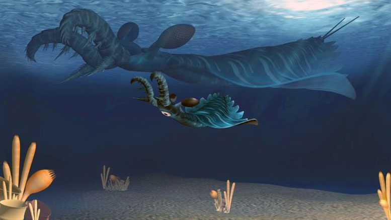 Някои от най ранните хищници които са патрулирали океаните преди повече