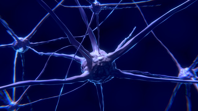 Човешкият мозък съдържа малко над 80 милиарда неврони всеки от