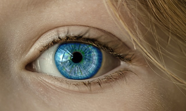 Изследвания показват, че хората със сини очи имат един-единствен, общ