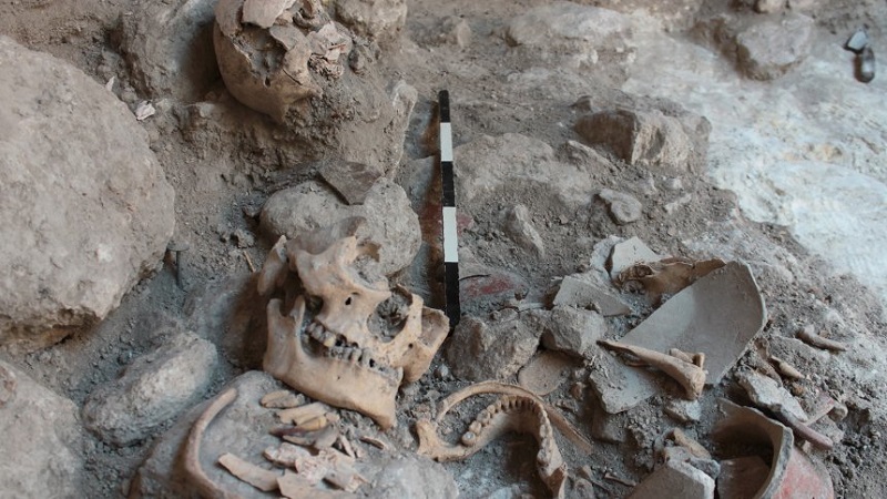 Раздробените скелети бяха открити в една пещера през 2013 г