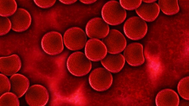 Учените създадоха стелт невидими червени кръвни клетки които камуфлират имунния