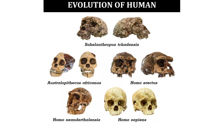 Ние Homo sapiens не сме били сами на Земята Преди