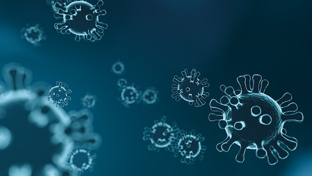 Вирусите, които заразяват бактериите – подходящо наречени бактериофаги – и