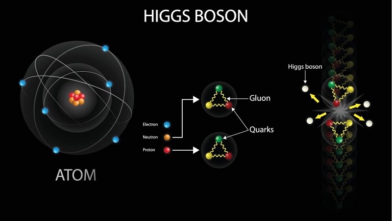 Бозонът на Хигс е една от 17 те елементарни частици които