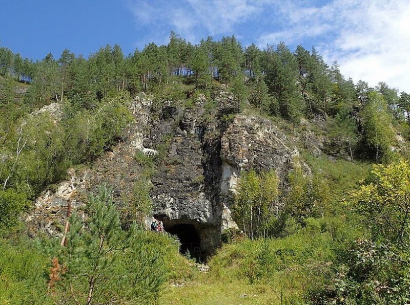 В сибирска пещера превърната в археологическа съкровищница учените откриха кучешки