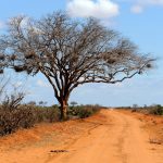 Заради промените в климата: Животът в Западна Африка и Южна Азия няма да бъде възможен