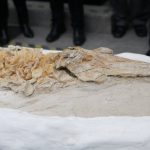 На 10 млн. години: Изследователи в Перу представиха фосил на делфиноподобно същество (видео и снимки)