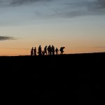 Нова теория гласи, че предците на човека са достигнали Индия преди 2.95 млн. години