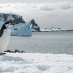 Готви се първи в историята скок от стратосферата до Южния полюс