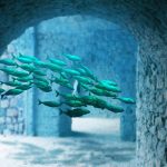 Science: Океанските риби многократно са преминавали в сладки води