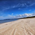 Неочаквано откритие: Момиче намери на плажа следи от гигант на 200 млн. години