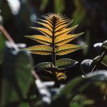 Китайски учени откриха редкоземни метали в растения