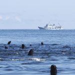 Едно от най-трудните места за изследване: Защо Беринговият мост е толкова важен