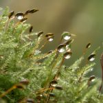 Проби от въздуха, събрани преди 35 г., разкриват забележима промяна в сезоните